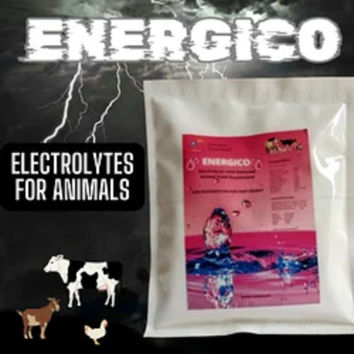 Energivo Electrolyte for Goat, Cow & Poultry