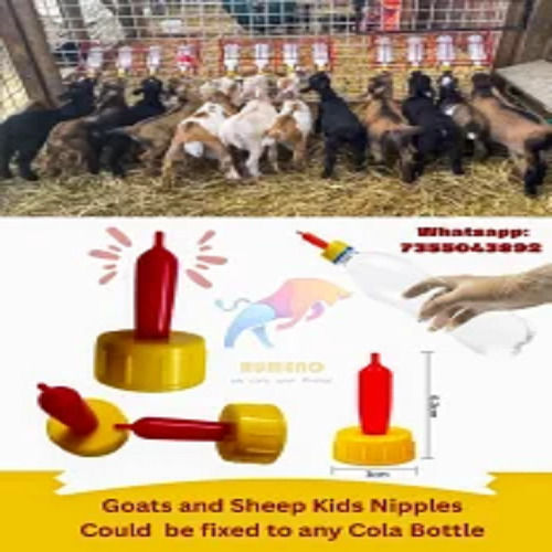 Goat And Sheep Nipples