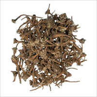 Akarkara Dry Root - Dried Herbal Material, 25 Kg Packaging Size, Brown Color | Ideal For Oral Hygiene & Male Fertility Enhancement