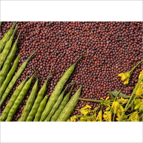 Black Mustard Seeds