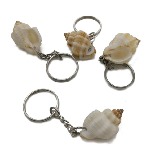 Sea Shell Gift Key Chains