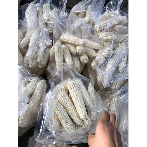 White Corn