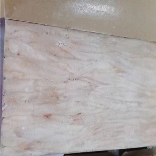 Frozen Alaska Pollock Loinless Block