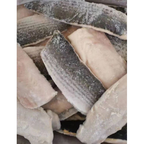 Frozen Grey Mullet Fish Fillet