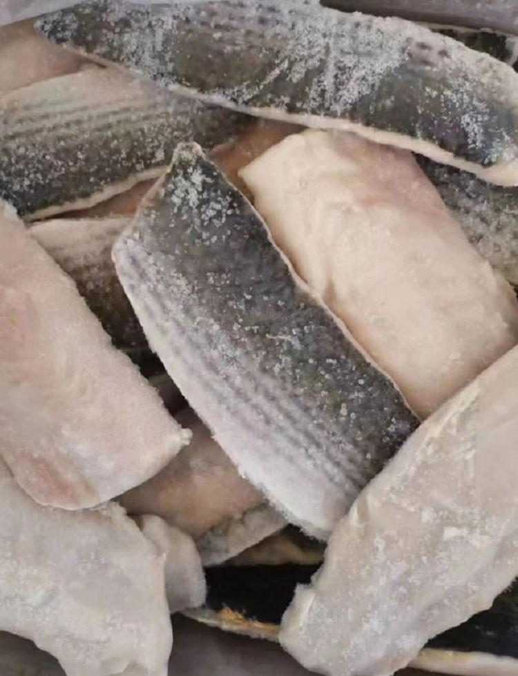 Frozen Grey Mullet Fish Fillet