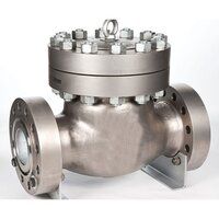 Industrial Check Valves