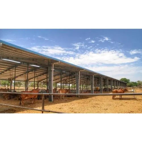 Prefabricated Structures Dairy Farm Sheds