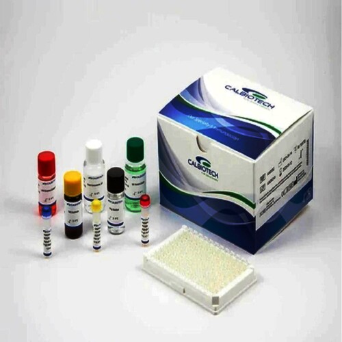 Calbiotech ACTH (Mouse/Rat) Elisa Kit