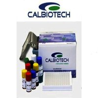 Calbiotech Brucella IgG Elisa Kit