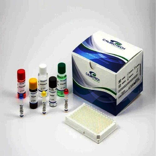 Calbiotech HSV 2 IgG Elisa Kit