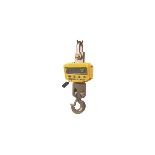 Crane Scale