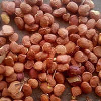 Common Natural Karanja Seeds