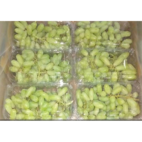PACKAGING OF GRAPES