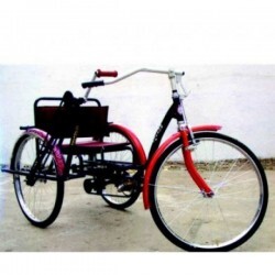 Hand Driven Cum Paddle Drive Tricycle