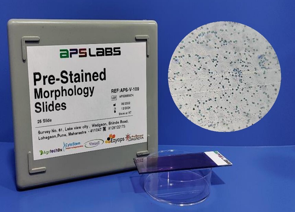 Pre-stained Morphology Slides Pack of 25 Slides