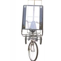 Advertising Three Wheeler Cycle With Canopy