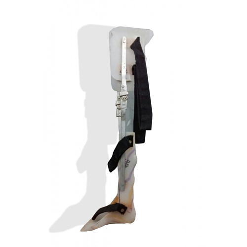 Knee Foot Orthosis Limb