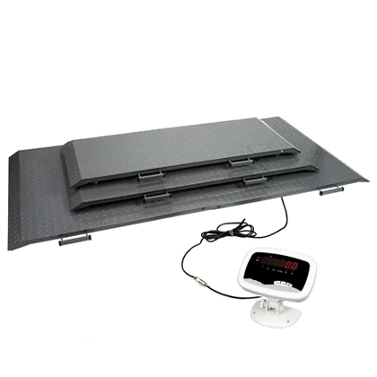 Platform Scale