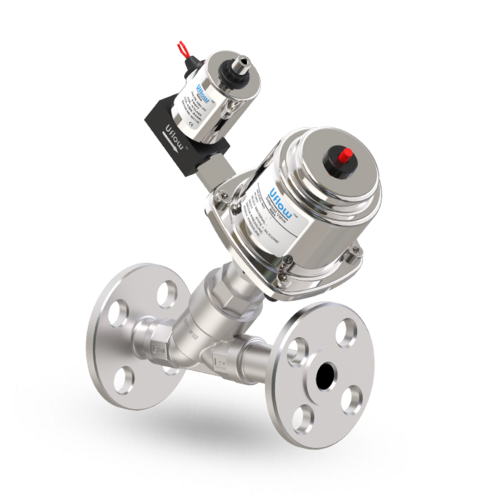 2 BSP Y Type Control Valve