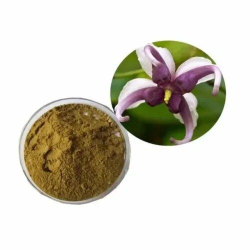 Ivy  Leaf Extract