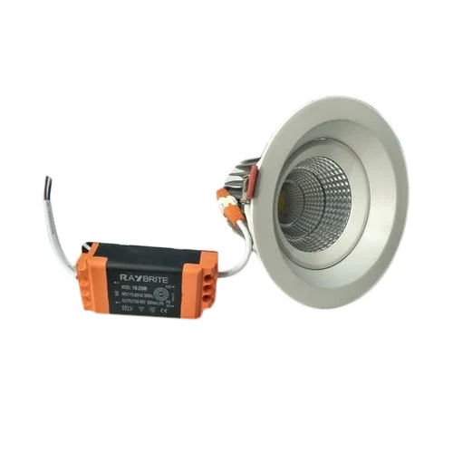 12 W LED COB Light