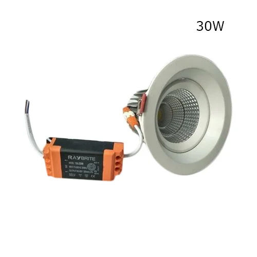 30 W LED COB Light