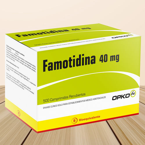 Famotidine Tablets Usp 40 Mg 500 Tablets General Medicines