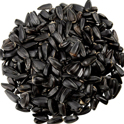 Hybrid Sunflower Seeds