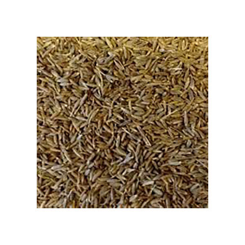 Cumin Seeds