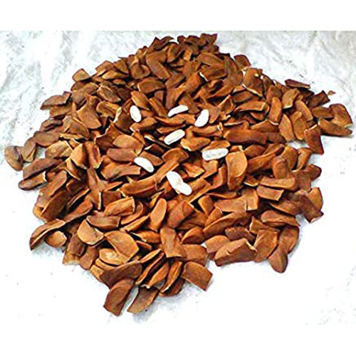 Common Mahogany Seeds