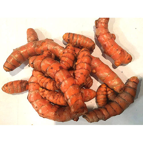 Raw Turmeric Seeds