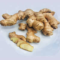 Canned Organic Ginger