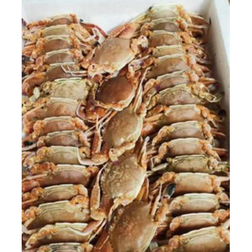 Frozen Warty Swimming Crab