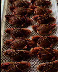 Frozen Warty Swimming Crab