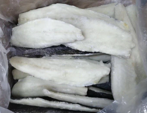 Frozen Nibe Croaker Fillet