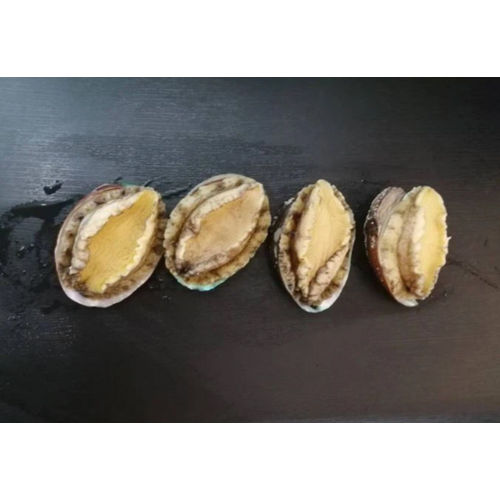 Frozen Abalone