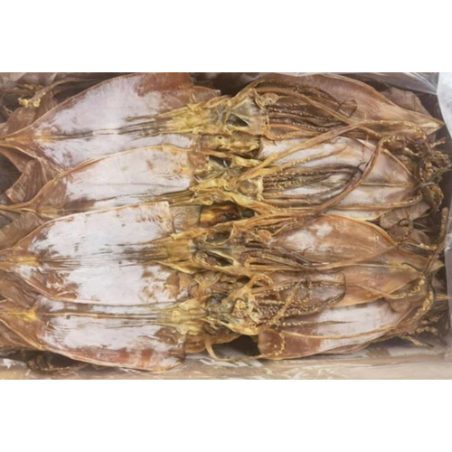 Dried Todarodes Squid
