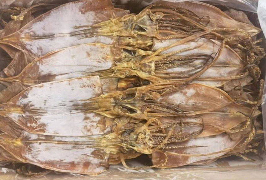 Dried Todarodes Squid