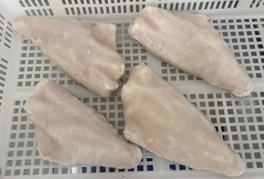 Frozen Redfish Fillet