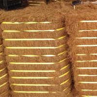 Coco Fibre