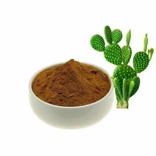 Caralluma Fimbriata Extract