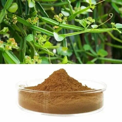 Cissus Quadrangularis Extract