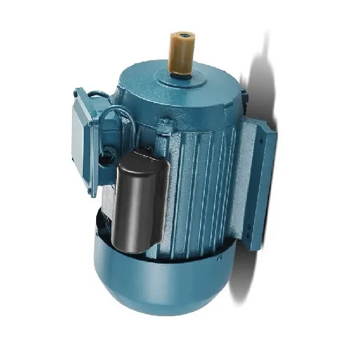 Single Phase Induction Motor