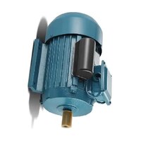 Single Phase Induction Motor