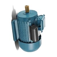 Single Phase Induction Motor