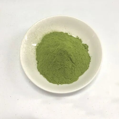 Parsley Extract Powder at Best Price in New Delhi, Delhi Natural Hub
