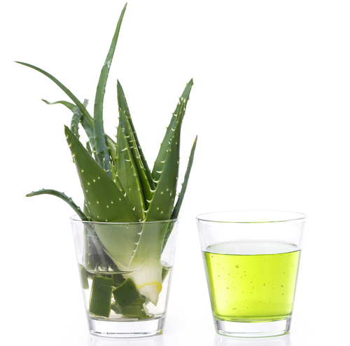 Aloe Vera Oil Premium