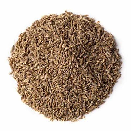 Cumin Seeds Grade: First Class