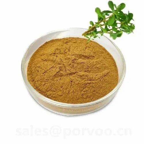 Bacopa Extract Grade: Industrial