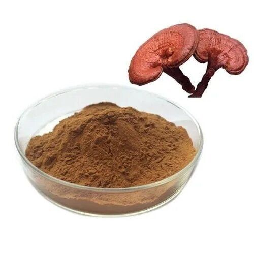 Ganoderma Extract